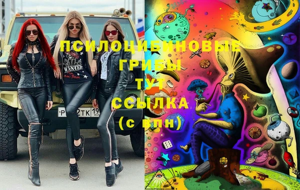 PSILOCYBIN Арсеньев