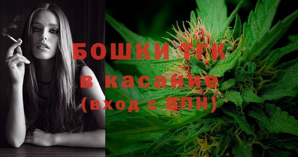 индика Алексеевка