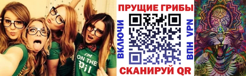 гидра ONION  Суоярви  shop наркотические препараты  Галлюциногенные грибы Psilocybe 